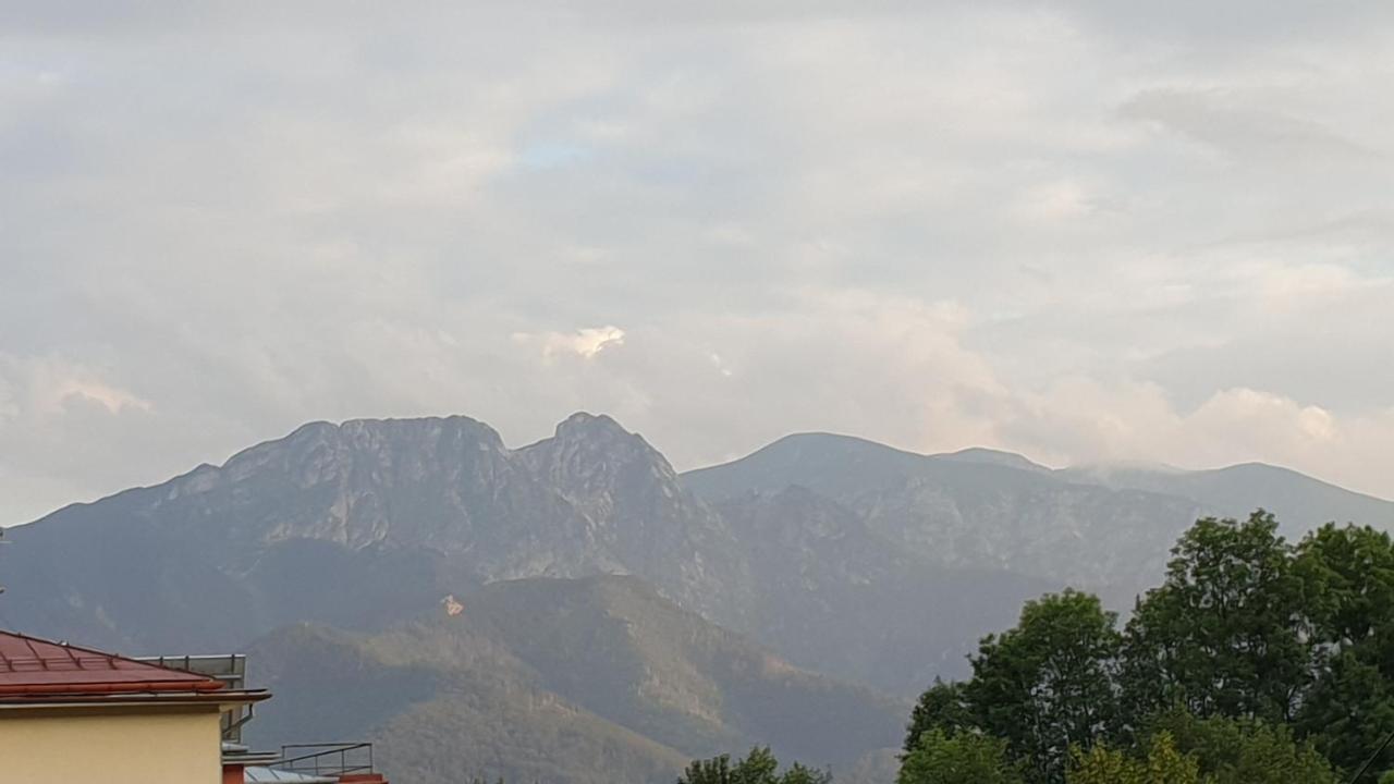 Villa Fortuna - Regionalne Apartamenty & Spa - Sauna, Grill, Jacuzzi Z Widokiem Na Tatry Ζακοπάνε Εξωτερικό φωτογραφία