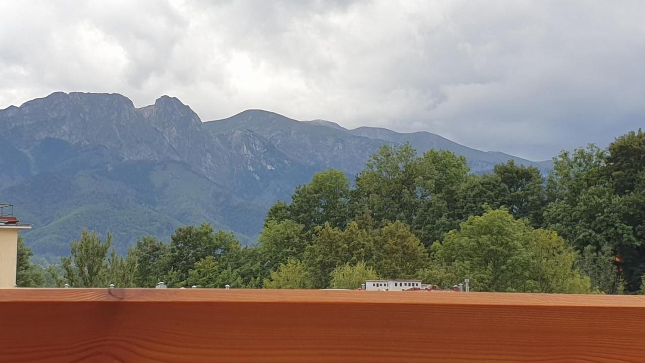Villa Fortuna - Regionalne Apartamenty & Spa - Sauna, Grill, Jacuzzi Z Widokiem Na Tatry Ζακοπάνε Εξωτερικό φωτογραφία